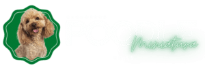 logo banner poodle chile