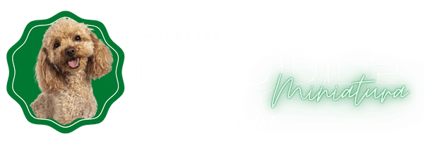 logo banner poodle chile
